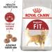 غذای خشک گربه رویال کنین (Royal Canin) فیت Regular Fit 32 | ۱۰ کیلوگرم